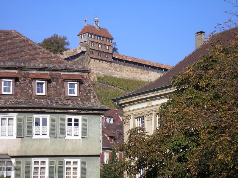 Esslinger Burg mit Stadtmauer