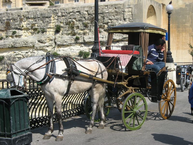 Malta, Kutsche in Valetta