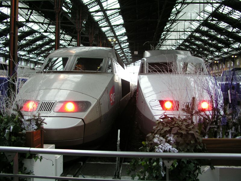 TGV am Gare de Lyon Paris