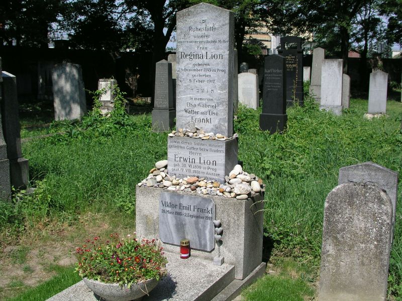 Grab von Viktor Frankl am Zentralfriedhof in Wien, Tor11