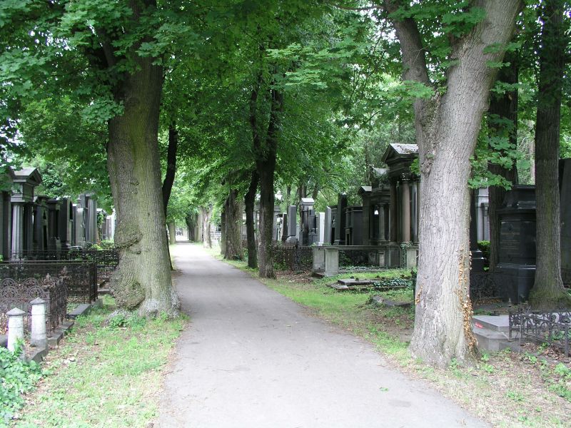 Alter Jüdischer Friedhof am Zentralfriedhof in Wien
